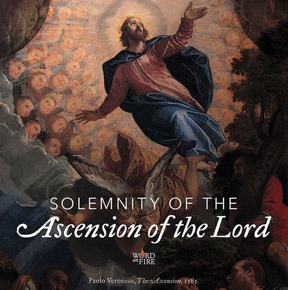 The Ascension . Holy Day On Thursday | Father Boniface Hicks, OSB